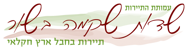 שדות שקמה בשור