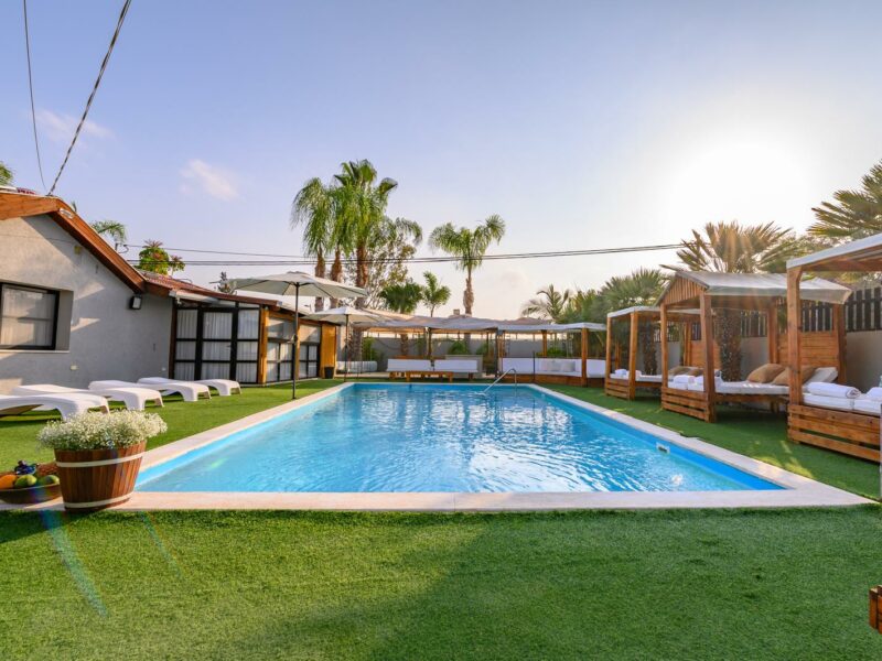 סל שפע דרומי תכולה: סל חגיגי המכיל שתיל לבחירה ממגוון מגדלים בנגב המערבי גרניום שתילי תבלין או ניצנית במגוון צבעים קונפיטורת אננס או ליצי 230 גרם מבית קיבוץ ארז ממרח עגבניות מיובשות מבית הללויה מעין הבשוק 180 גרם זוג נרות מבית מפעל מנורה משדרות שמן זית 250 מ"ל מבית הללויה 165 ₪ / 249 ₪