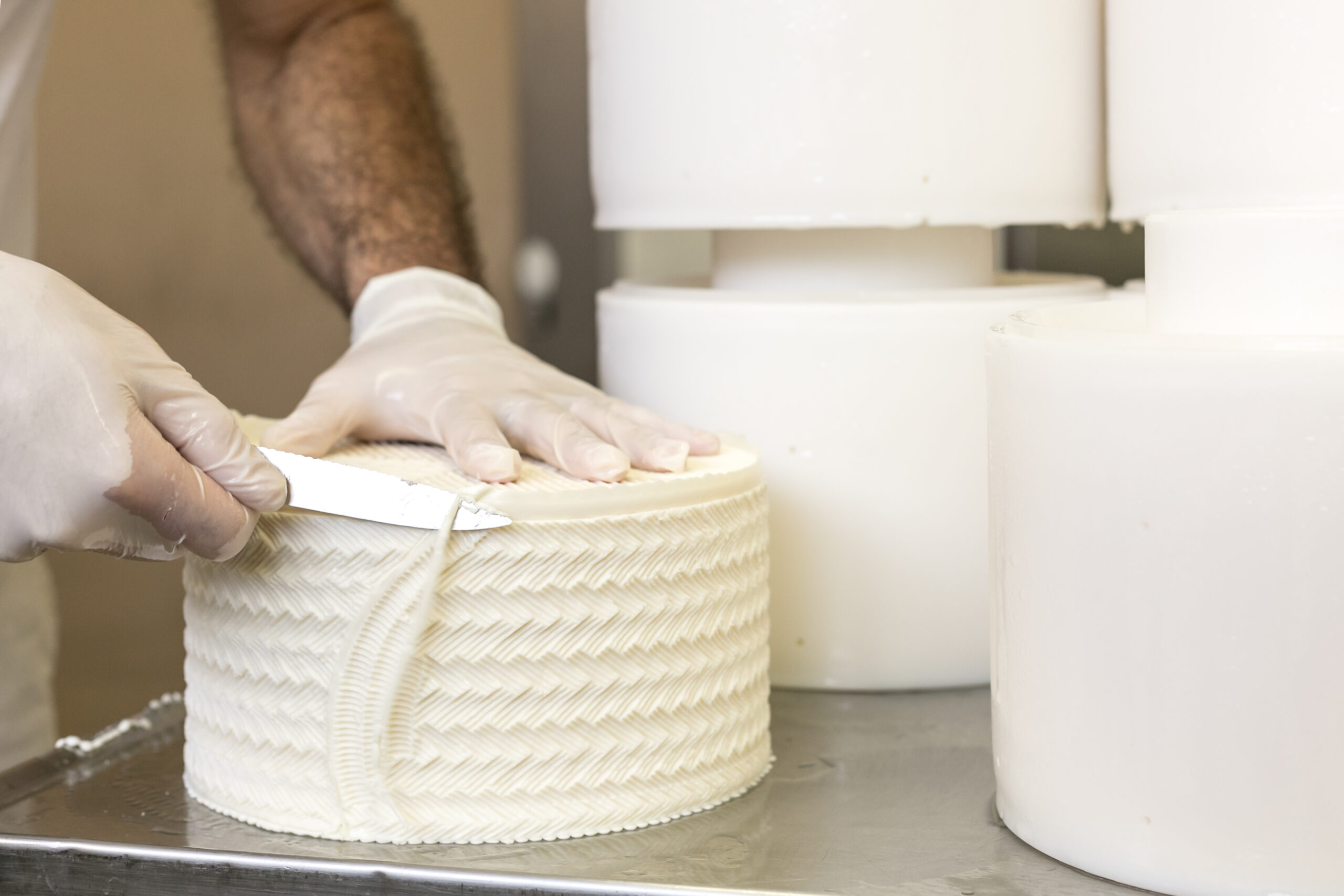 Beeri Dairy (3) (מחלבת בארי)