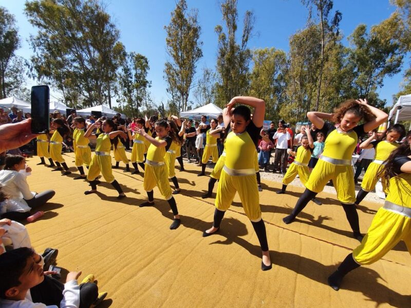 קבלת שבת ביער שוקדה