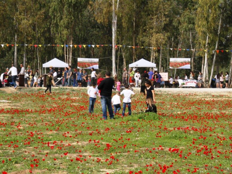 קבלת שבת ביער שוקדה