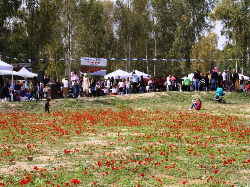 קבלת שבת ביער שוקדה