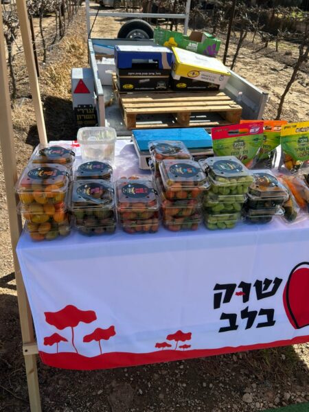 דוכן עם פירות