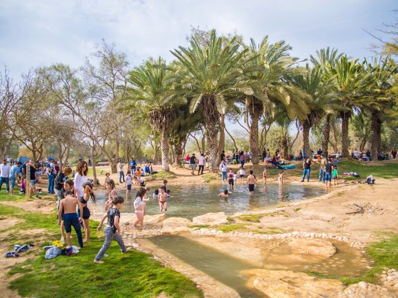 שוק ליד המים (3) (שוק ליד המים בגן לאומי הבשור)