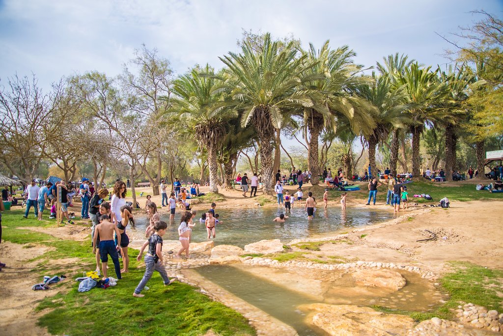 מבקרים וילדים משחקים במים בתוך בריכה טבעית רחבה עם עצי דקל מסביב תחת כיפת השמיים.