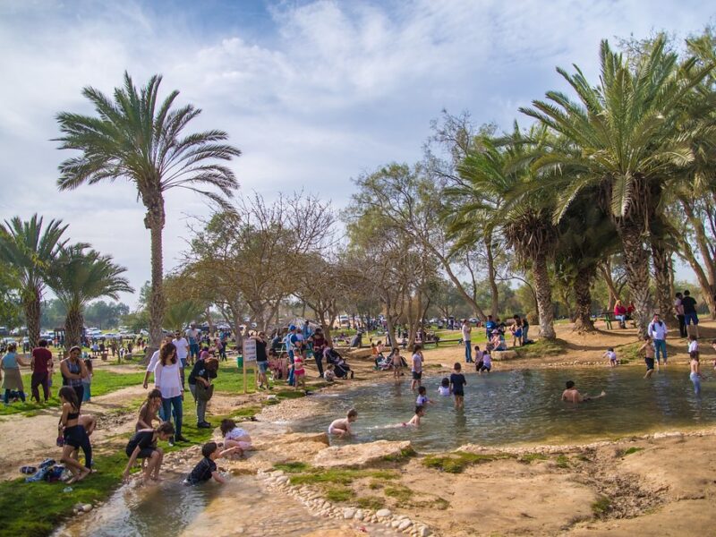 שוק על המים בפארק הבשור
