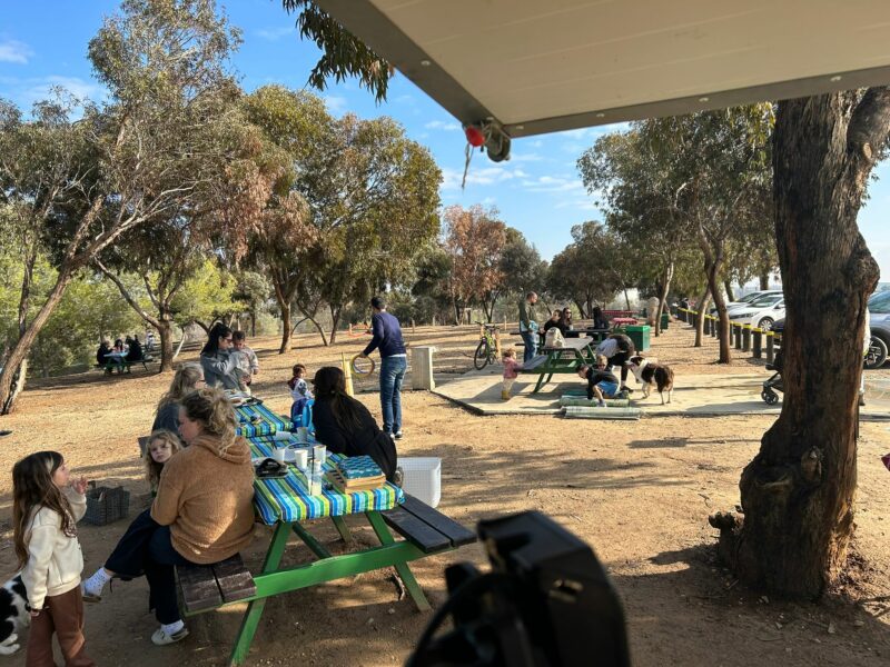 אנשים יושבים בחורשה סביב ספסל