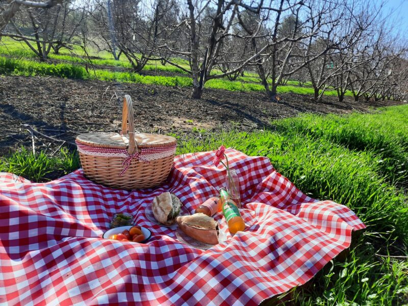 2025 07 17 At 18.46.12 (5) (קפאלה)