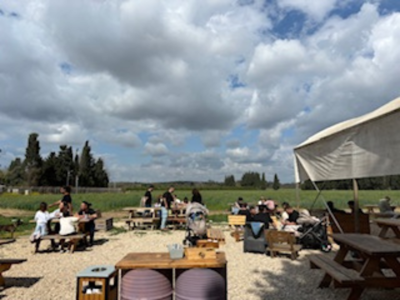 דפקא- מתחם פודטראקס