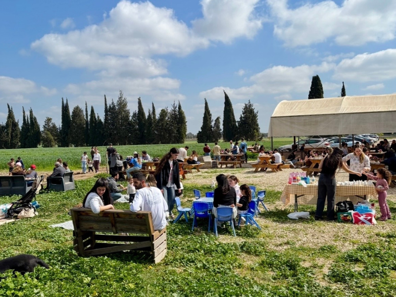 דפקא- מתחם פודטראקס