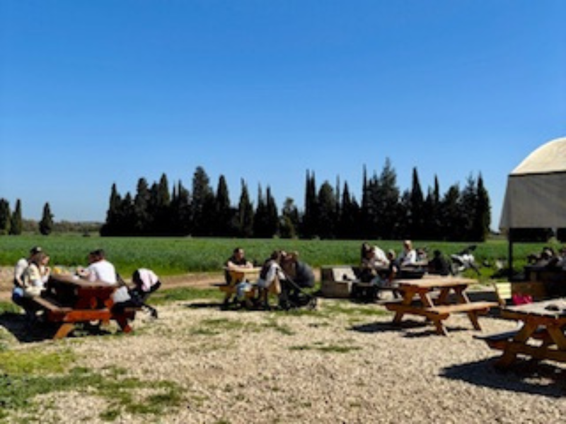 דפקא- מתחם פודטראקס