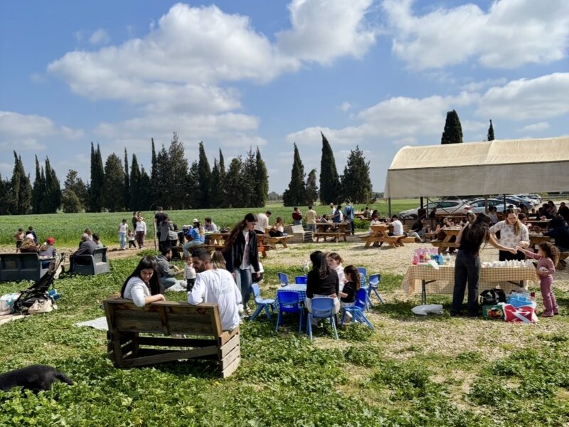 דפקא- מתחם פודטראקס