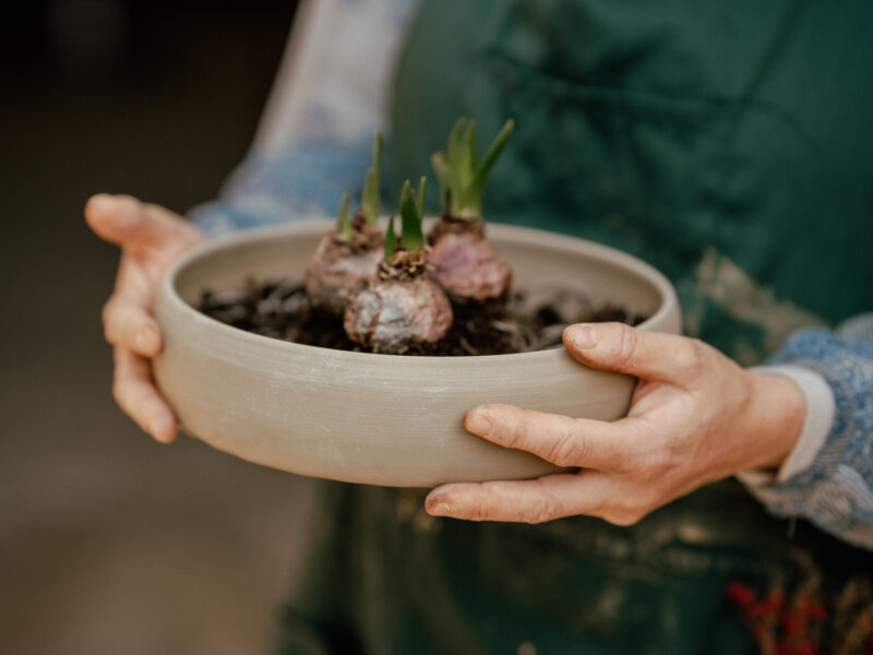 סטודיו שדות-סדנאות חימר ופרחים. סטודיו שדות-סדנאות חימר ופרחים.