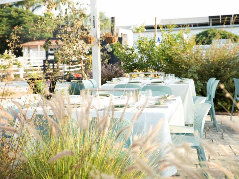 "שולחנות ערוכים בלבן בגינת אירועים, מוקפים בצמחייה ירוקה וכיסאות טורקיז."