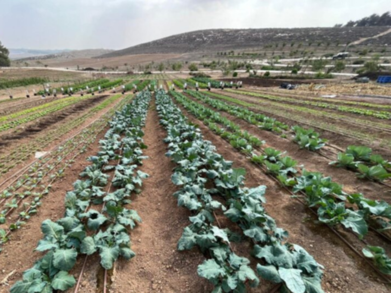להרים לחיים ביחד להרים לחיים ביחד