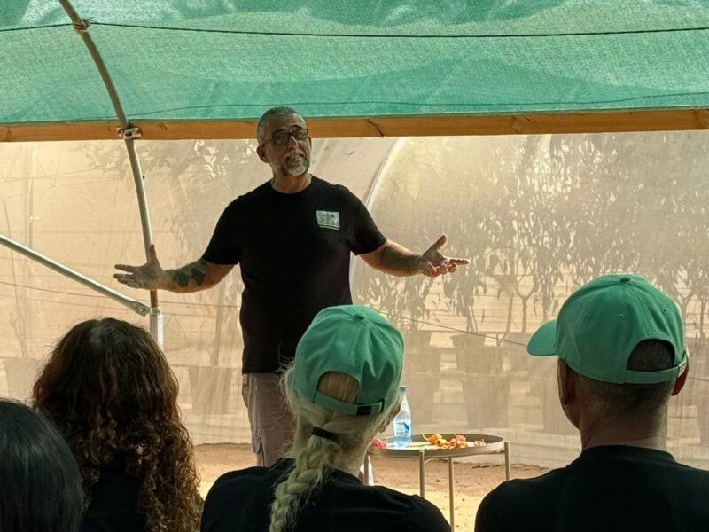 הדינרים בית של חריף