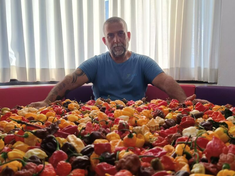 הדינרים בית של חריף