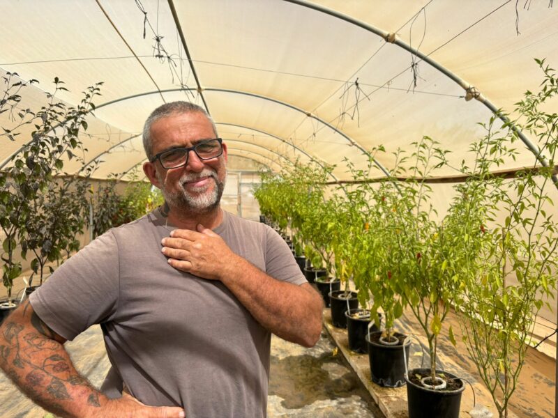 יאיר דינר, דינר הבית של החריף