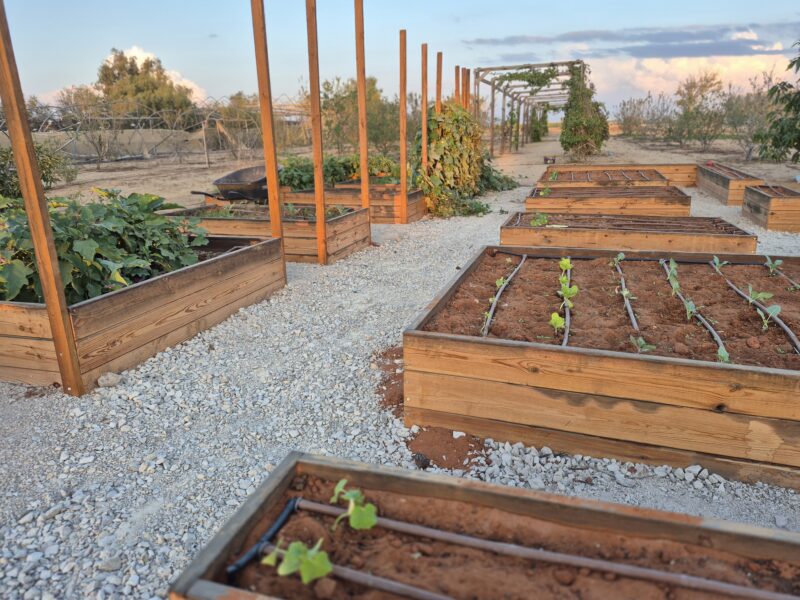 הבוסתן של איתן