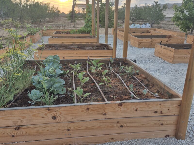 הבוסתן של איתן