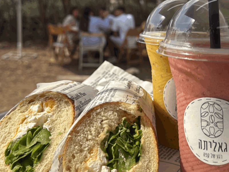 גאליתה גאליתה