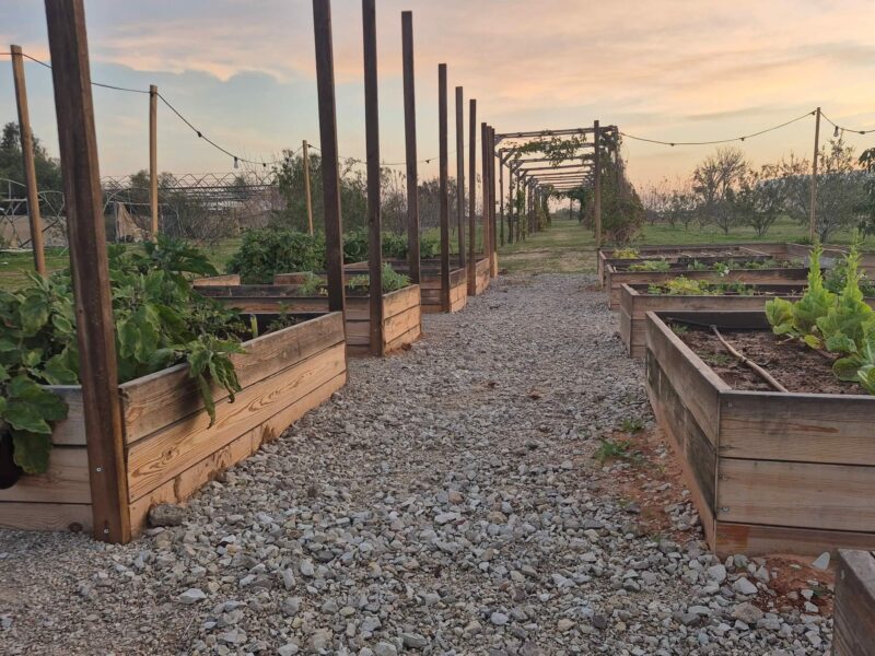 הבוסתן של איתן