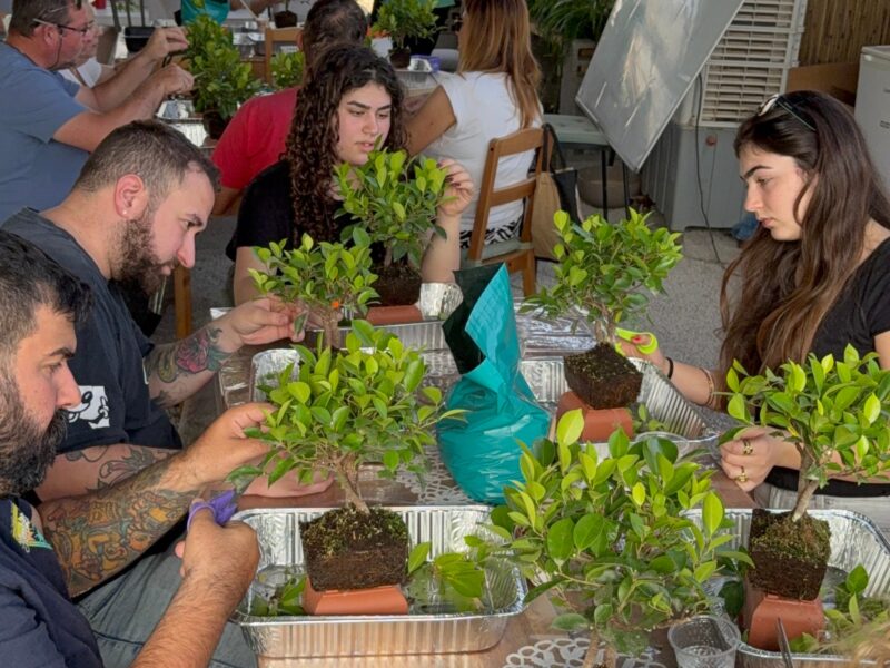 משתלת צמחמד