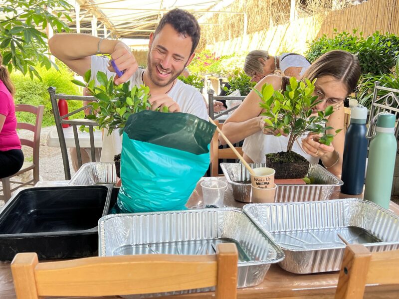 משתלת צמחמד