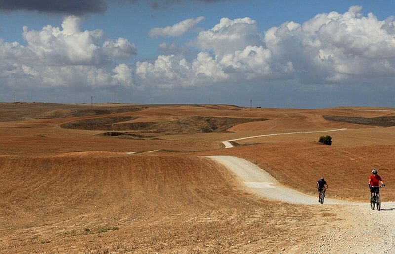 דרך נוף שקמה