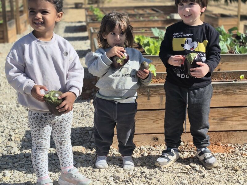 הבוסתן של איתן