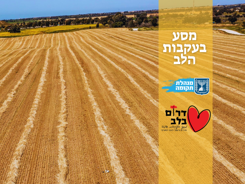 מסע בעקבות הלב