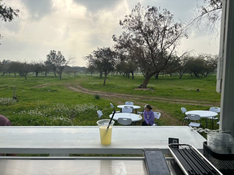 Ishpanak – Turkish bourekas