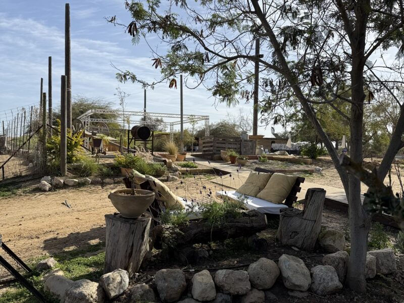 פינת ישיבה מתחת לעץ