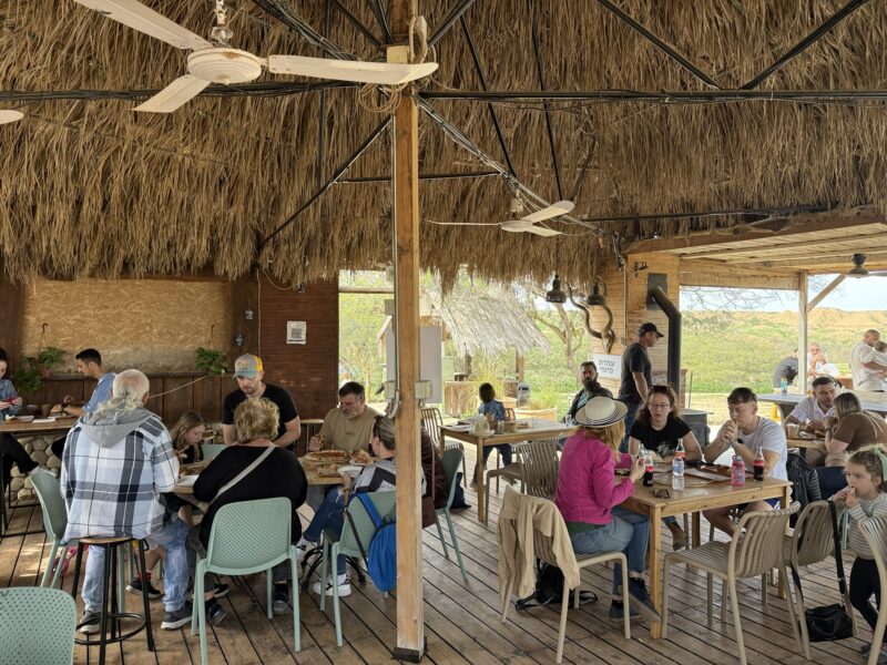 אנשים יושבים במתחם מוצל