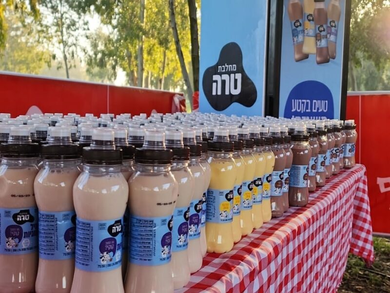 פעילות בחסות טרה