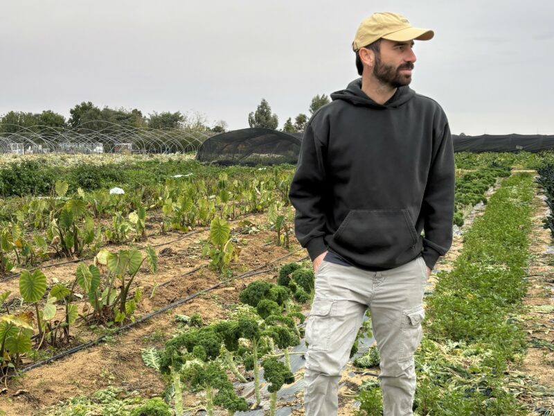 יולי – מטבח עונתי מהשדה