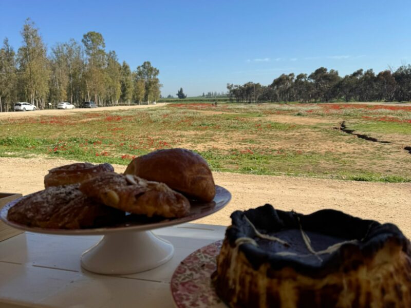 עגלאטה עגלת הקפה של הדרום