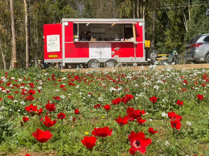 עגלאטה עגלת הקפה של הדרום