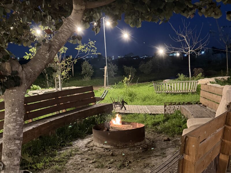 עשב בר-מהאדמה לצלחת