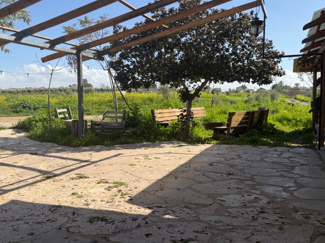 רחבה חיצונית עם רצפת אבן, עץ ופינת ישיבה