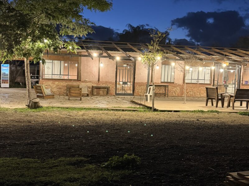 עשב בר-מהאדמה לצלחת