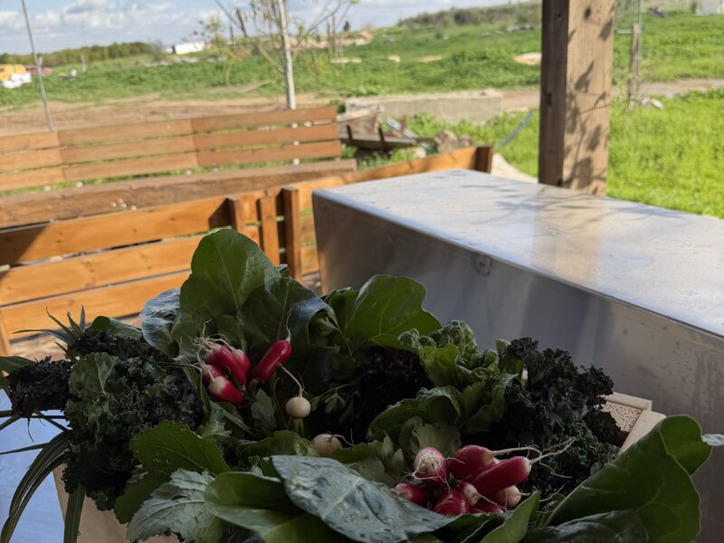 עשב בר-מהאדמה לצלחת