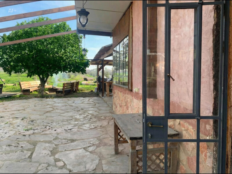 עשב בר-מהאדמה לצלחת