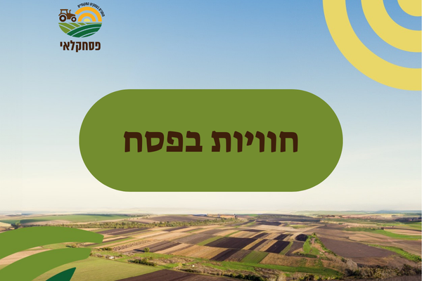 באנר חוויות בפסח