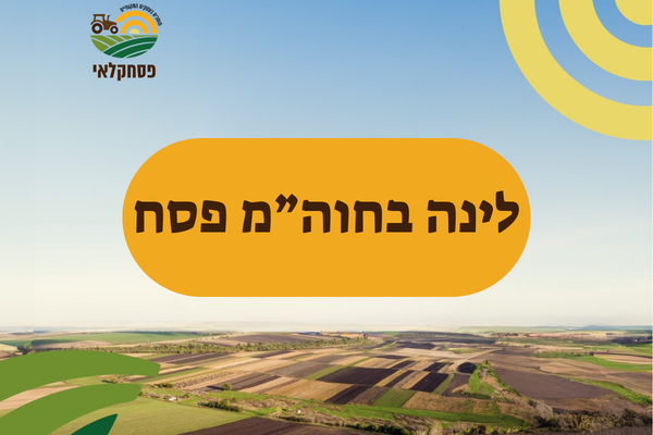 באנר לינה בחוה