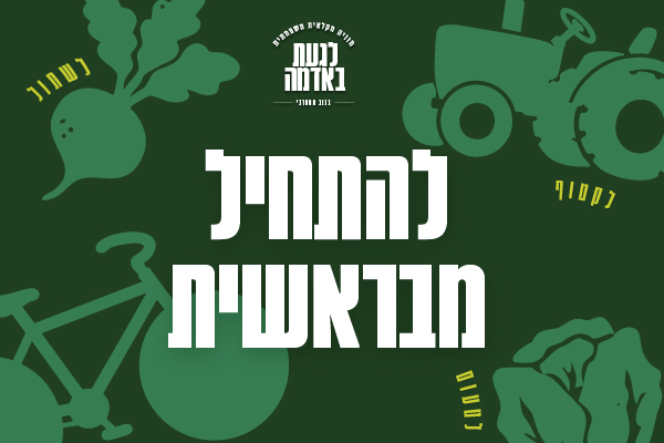 גלריה