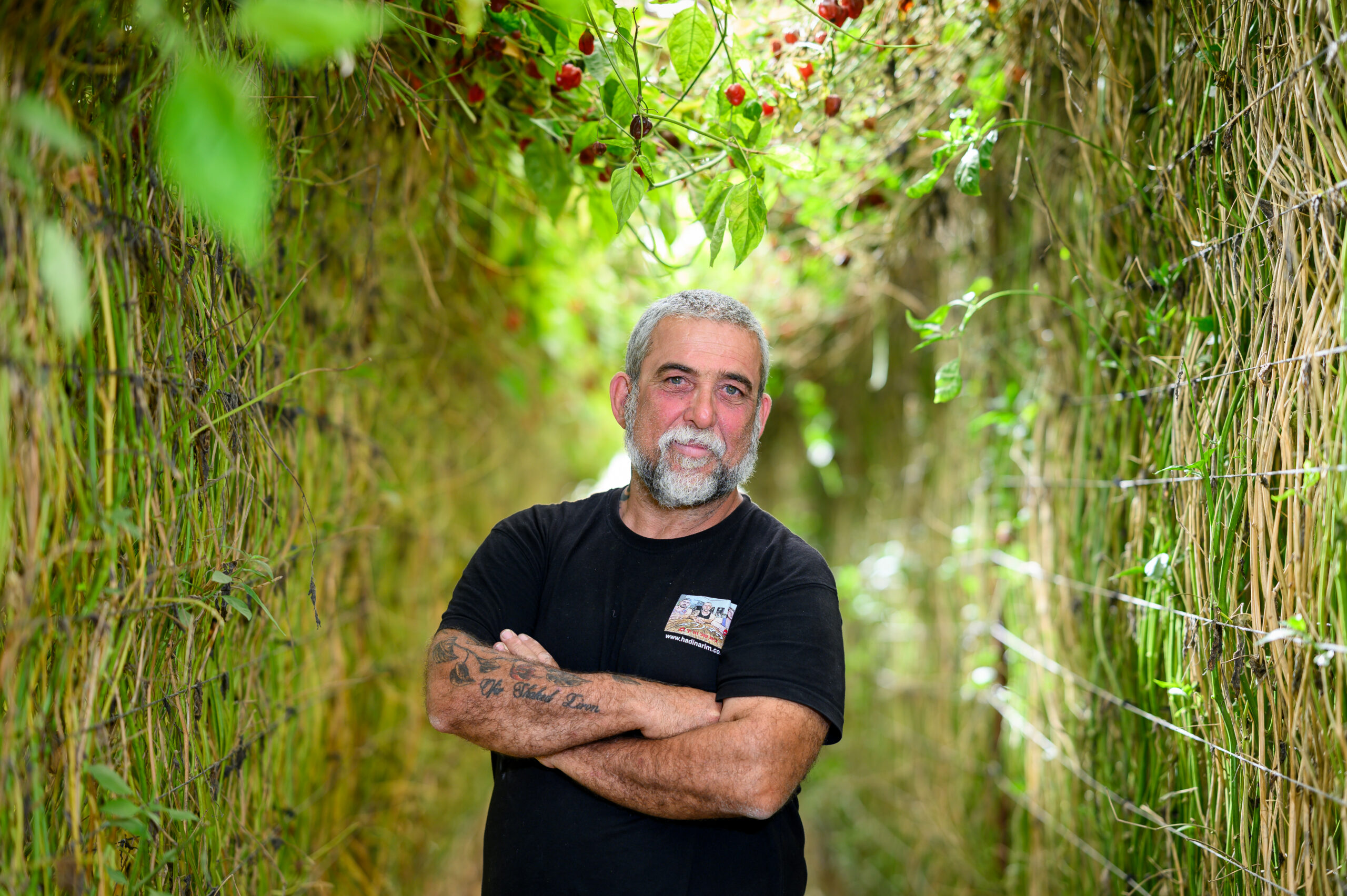 קצת חריף בחיים – חוויה חקלאית בדינרים- הבית של החריף