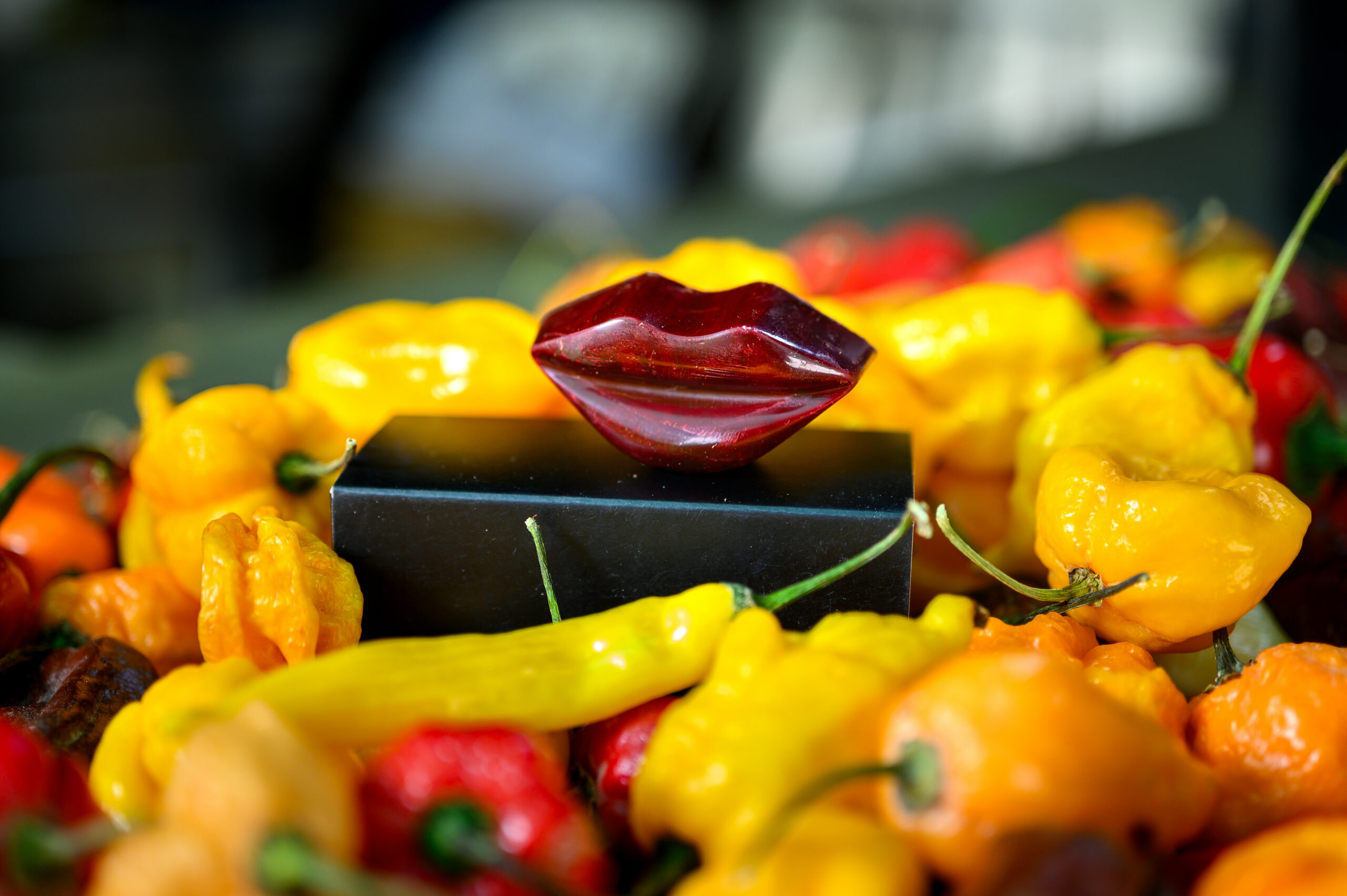 קצת חריף בחיים – חוויה חקלאית בדינרים- הבית של החריף