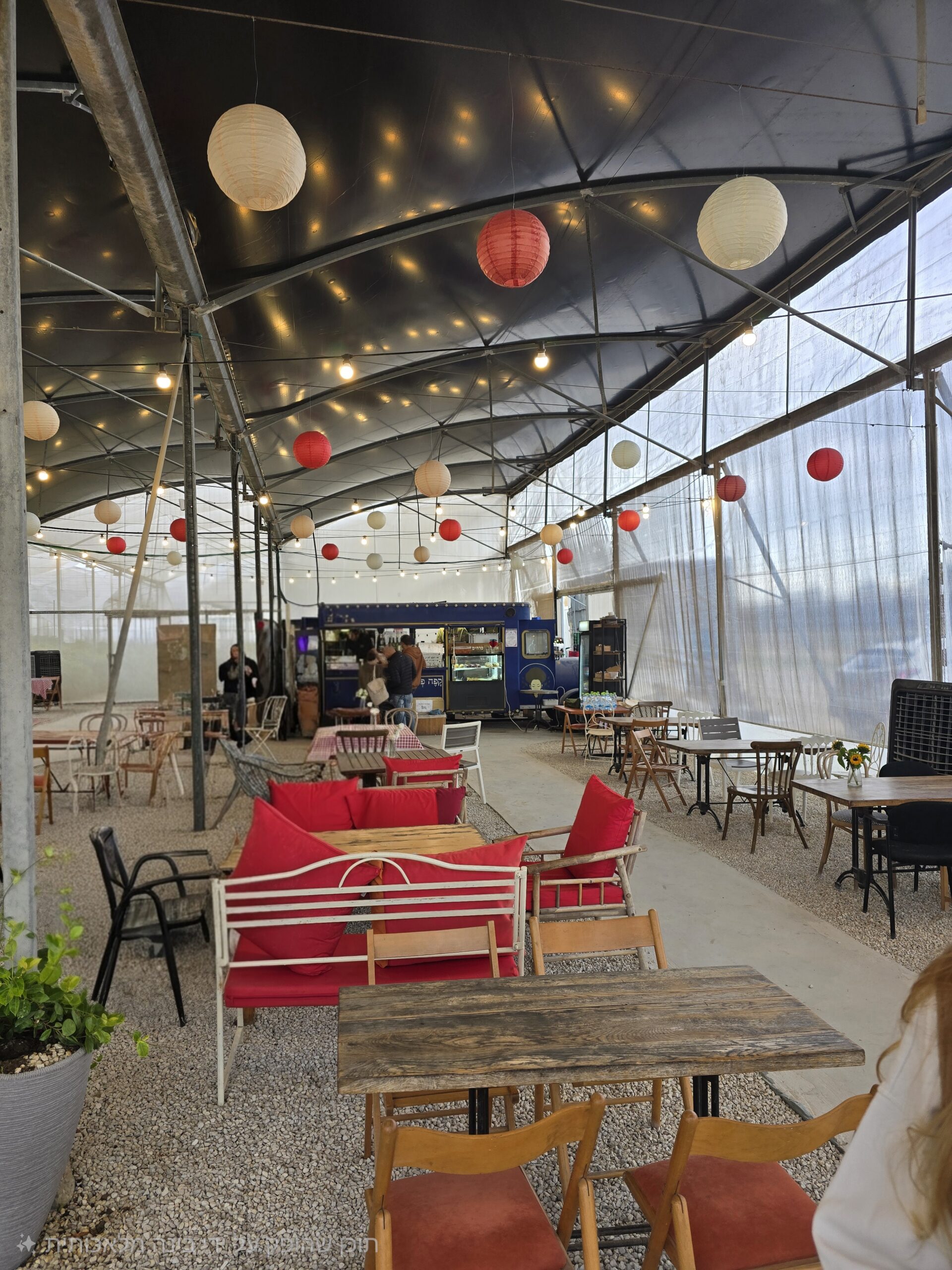 בין תותים לחמניות – קטיף בפטל של עופר