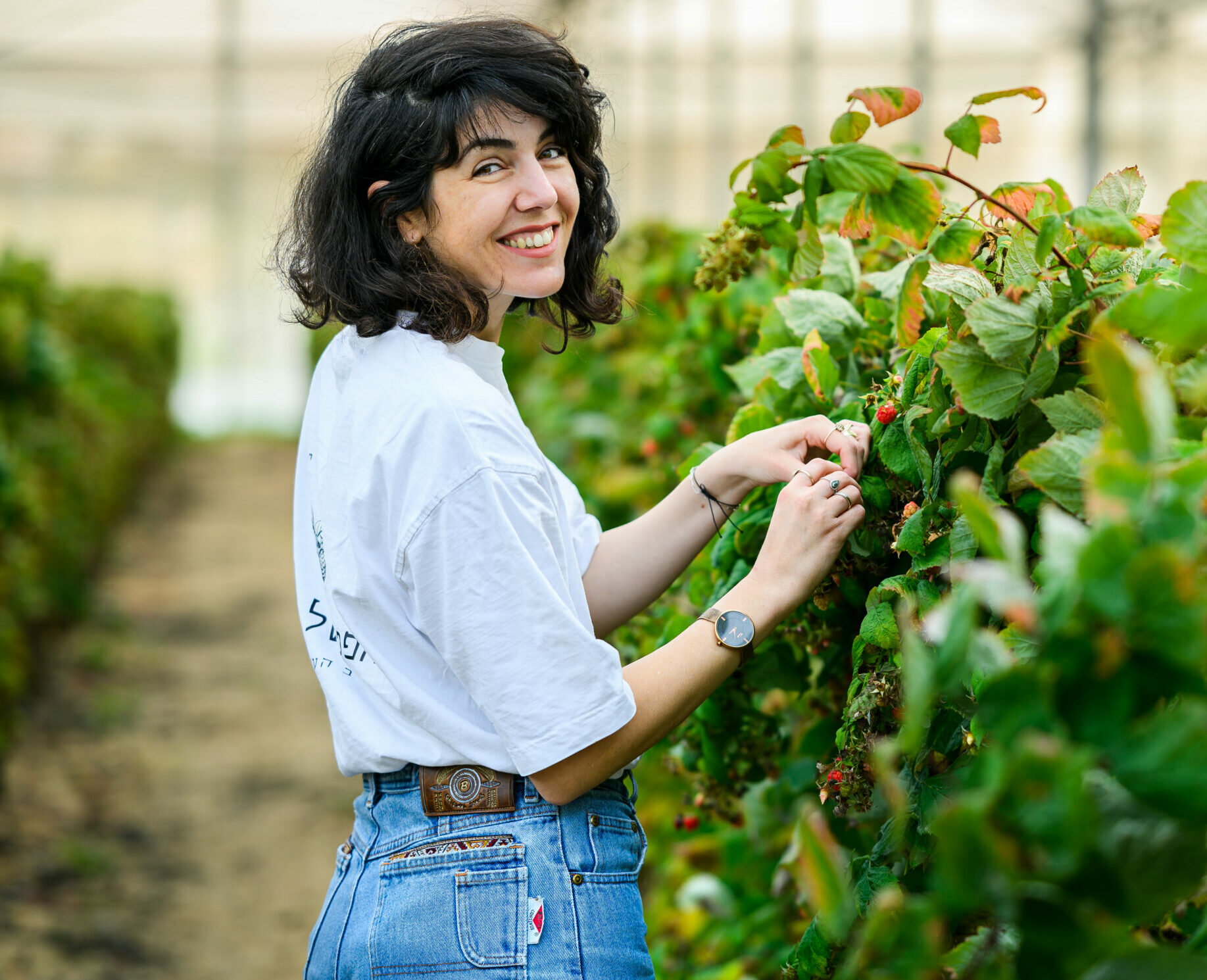 בין תותים לחמניות – קטיף בפטל של עופר